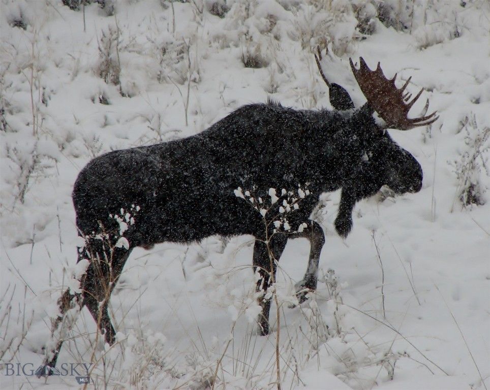 176 Game Trail Road, Bozeman, MT 59715 photo 83