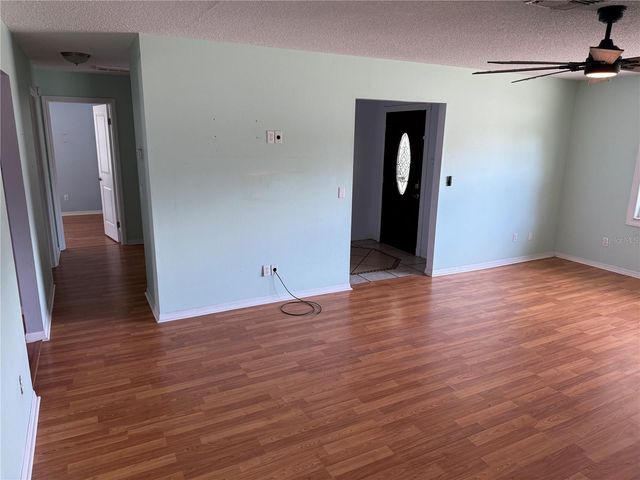 1244 COUNTY ROAD 437, Lake Panasoffkee, FL 33538