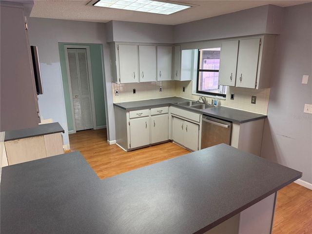 1244 COUNTY ROAD 437, Lake Panasoffkee, FL 33538
