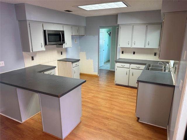 1244 COUNTY ROAD 437, Lake Panasoffkee, FL 33538