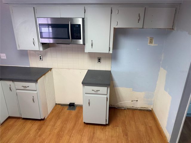 1244 COUNTY ROAD 437, Lake Panasoffkee, FL 33538