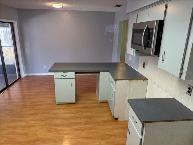1244 COUNTY ROAD 437, Lake Panasoffkee, FL 33538