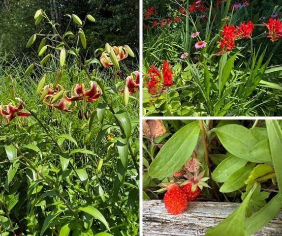 255 Mud Pond Road, Williston, VT 05495