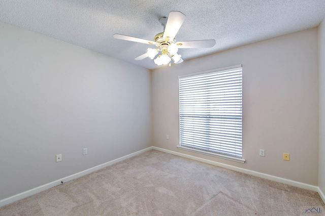 133 Tigerlily Dr, Houma, LA 70360