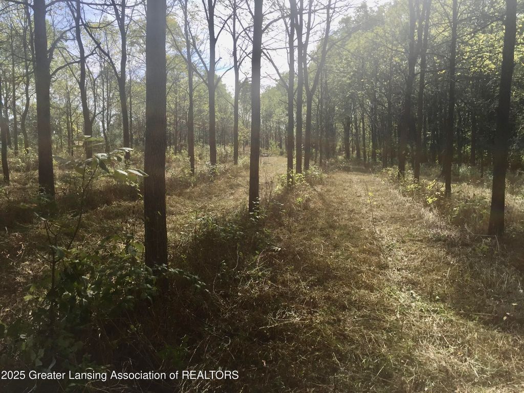 0 W Solon Road, Dewitt, MI 48820