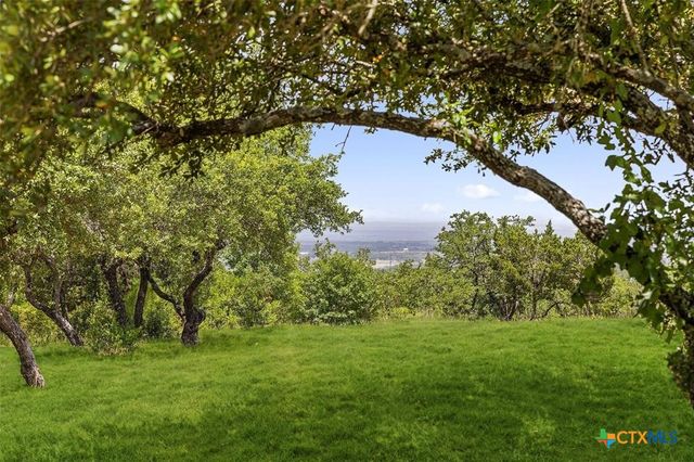 317 Scenic Ridge Drive, Spicewood, TX 78669