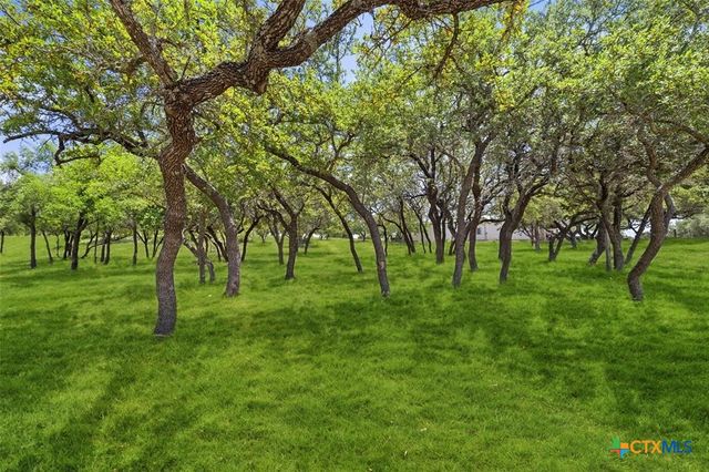 317 Scenic Ridge Drive, Spicewood, TX 78669