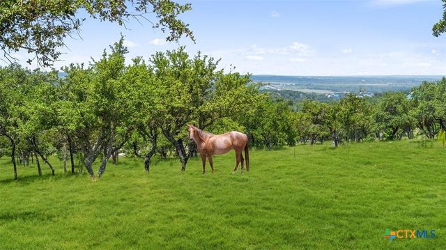 317 Scenic Ridge Drive, Spicewood, TX 78669
