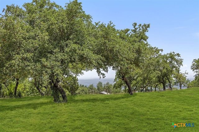 317 Scenic Ridge Drive, Spicewood, TX 78669
