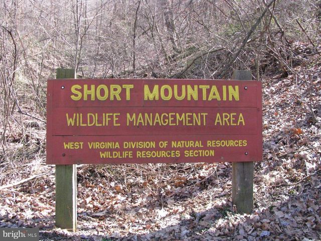 600 BUCK RUN RD, Delray, WV 26714