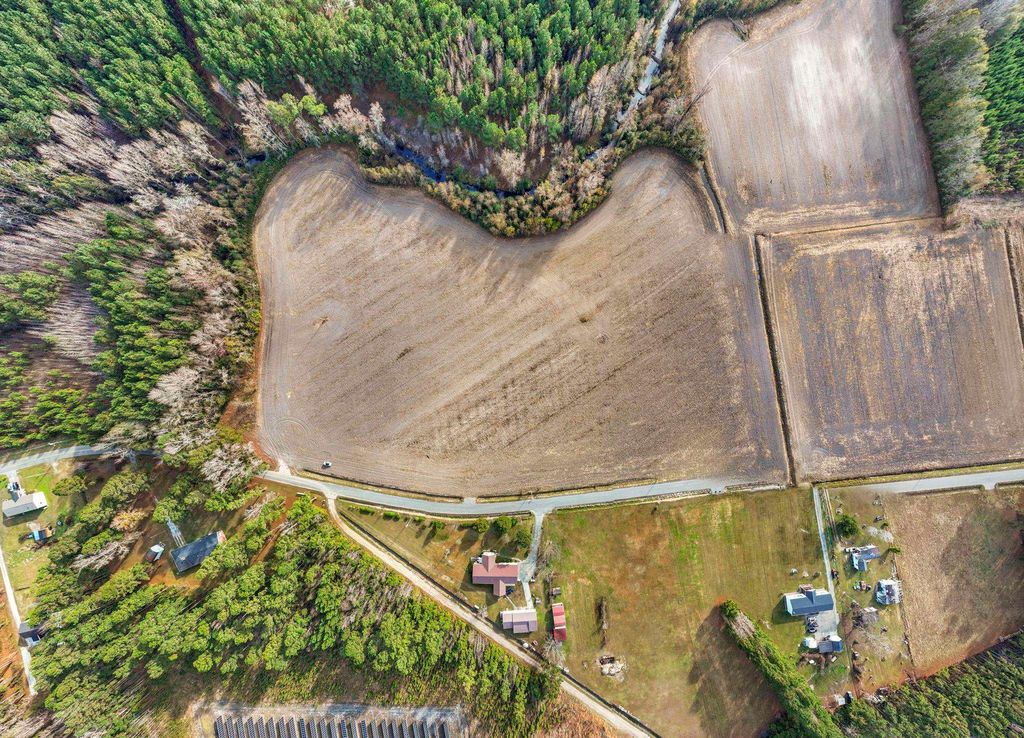 TBD Bertie Rd., Green Sea, SC 29545 — photo 3