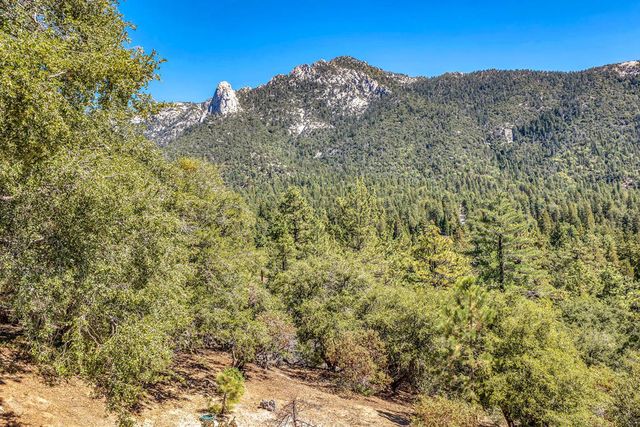 54655 Falling Leaf Road, Idyllwild, CA 92549