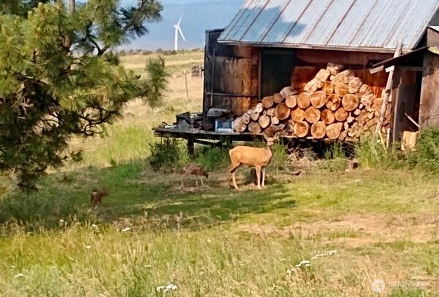 790 FS Rd 3506, Ellensburg, WA 98926