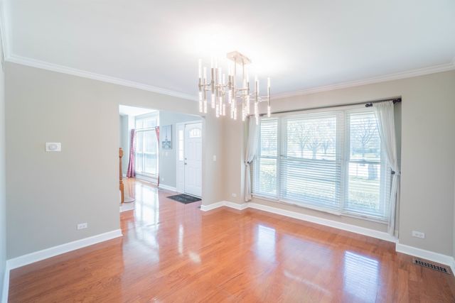 465 Thacker Court, Schaumburg, IL 60173