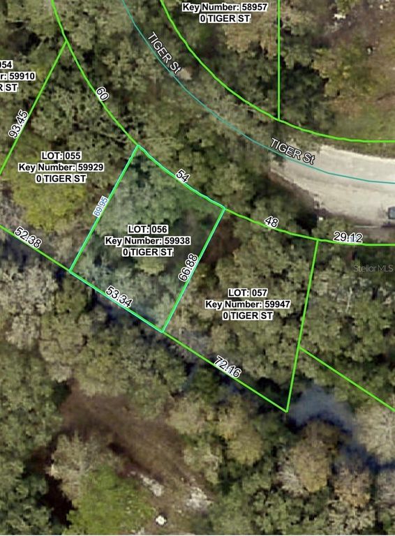 3217 TIGER STREET, Dade City, FL 33523