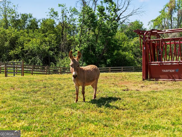 6920 Holly Springs Road, Clermont, GA 30527