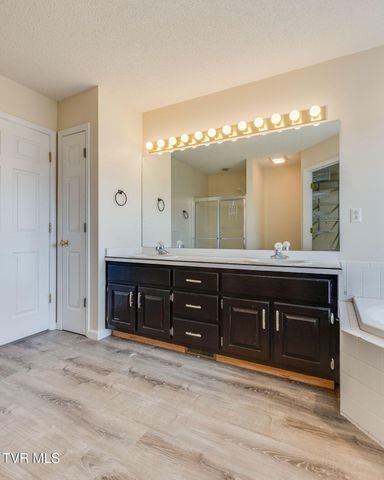 106 Meadow Court, Gray, TN 37615