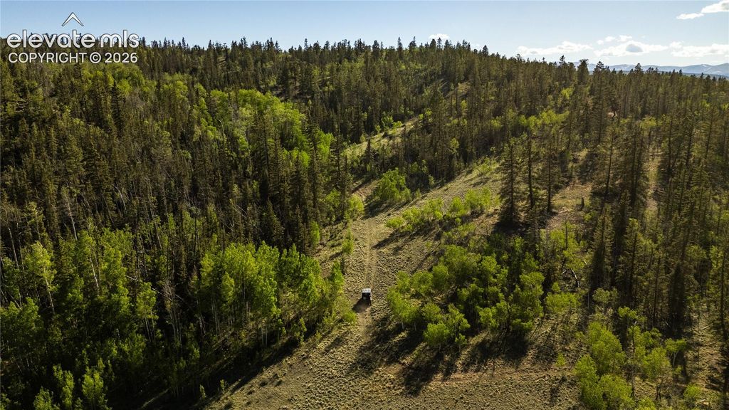 1280 Antler Ridge Road, Como, CO 80432 — photo 3