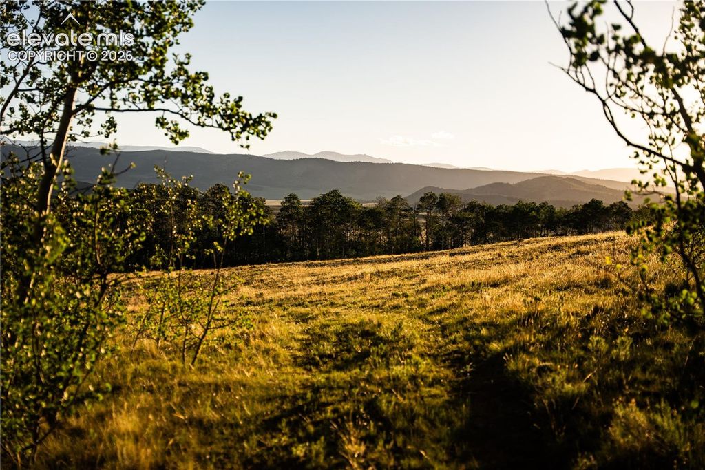 1280 Antler Ridge Road, Como, CO 80432 — photo 5