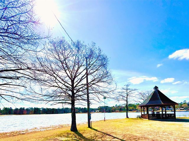 104 Sweet Gum, Village Mills, TX 77663