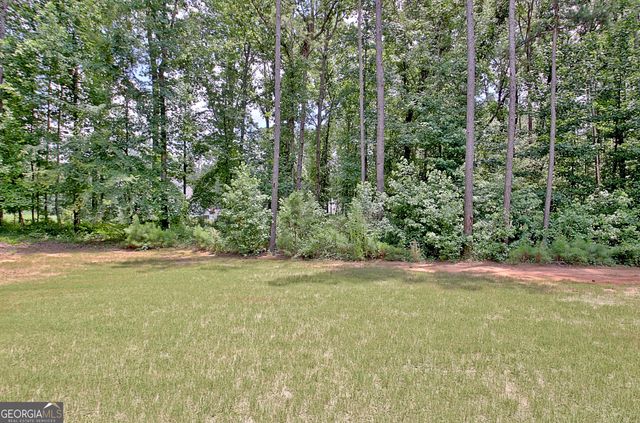 80 Couch Road, Senoia, GA 30276