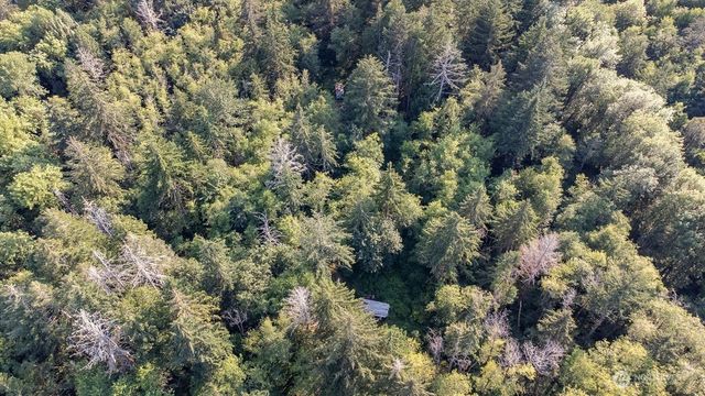 1952 E Agate Road, Shelton, WA 98584