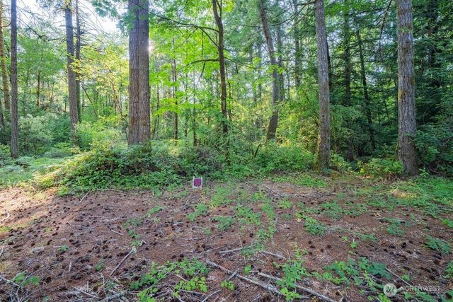 1952 E Agate Road, Shelton, WA 98584