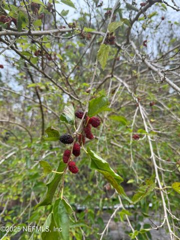 23216 NE 35TH Avenue, Melrose, FL 32666