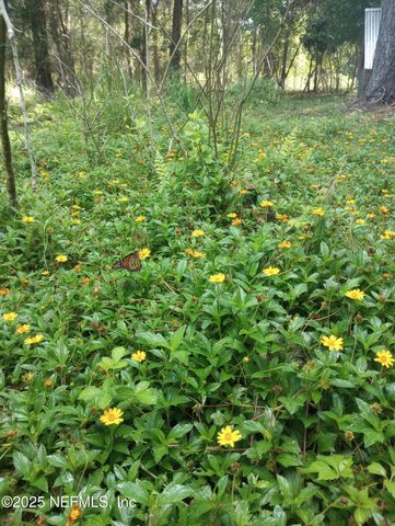 23216 NE 35TH Avenue, Melrose, FL 32666