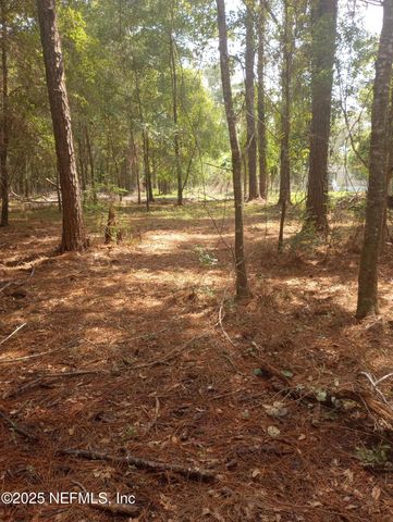 23216 NE 35TH Avenue, Melrose, FL 32666