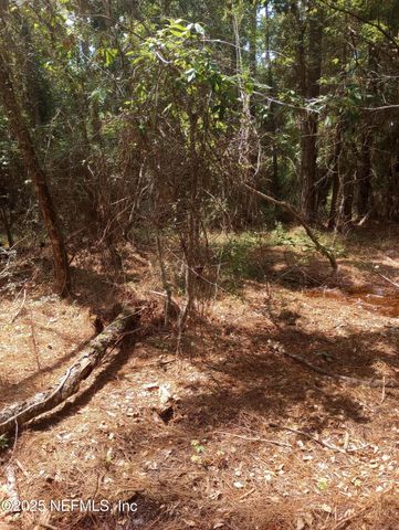 23216 NE 35TH Avenue, Melrose, FL 32666