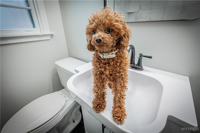 2434 Weston Avenue, Niagara Falls, NY 14305