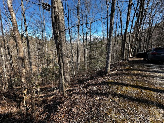 Lot 11 Blue Mist Mountain Road, Whittier, NC 28789