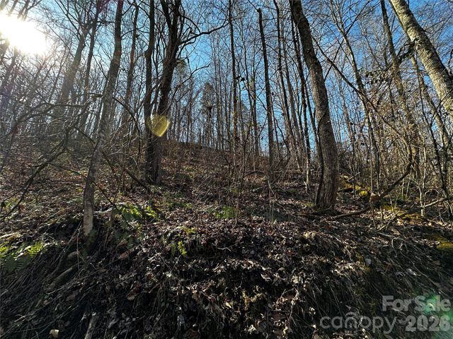 Lot 11 Blue Mist Mountain Road, Whittier, NC 28789