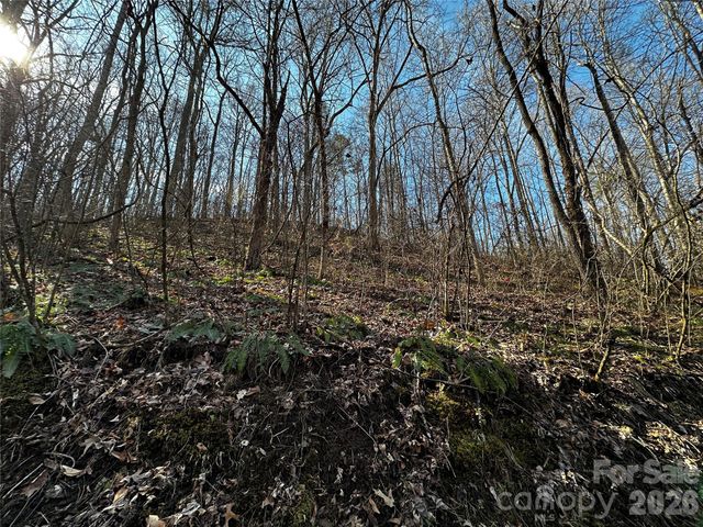 Lot 11 Blue Mist Mountain Road, Whittier, NC 28789