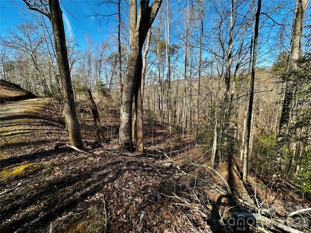 Lot 11 Blue Mist Mountain Road, Whittier, NC 28789