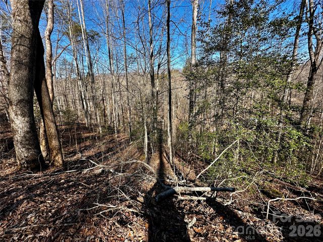 Lot 11 Blue Mist Mountain Road, Whittier, NC 28789