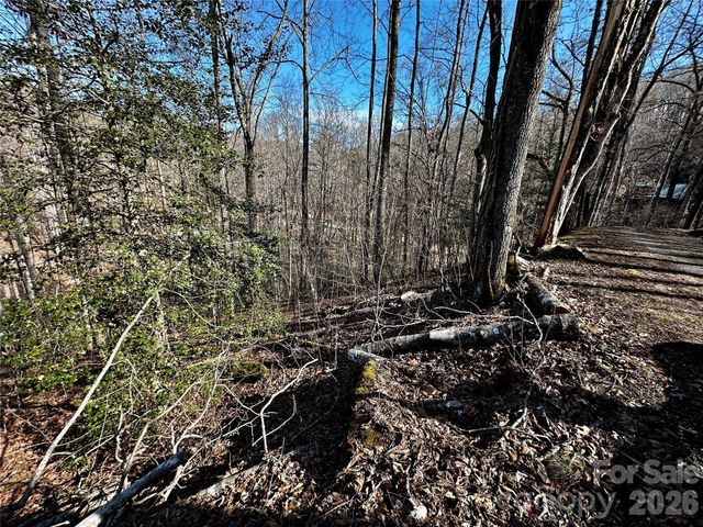 Lot 11 Blue Mist Mountain Road, Whittier, NC 28789