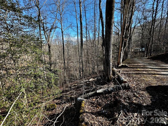 Lot 11 Blue Mist Mountain Road, Whittier, NC 28789
