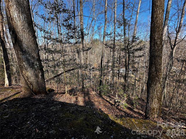 Lot 11 Blue Mist Mountain Road, Whittier, NC 28789
