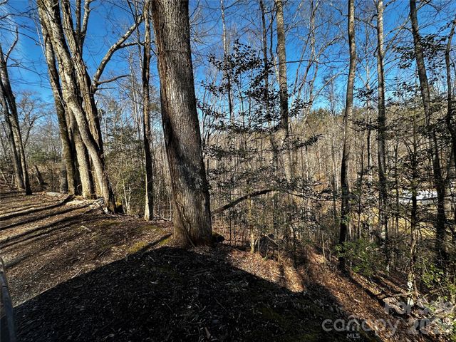 Lot 11 Blue Mist Mountain Road, Whittier, NC 28789