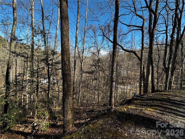 Lot 11 Blue Mist Mountain Road, Whittier, NC 28789