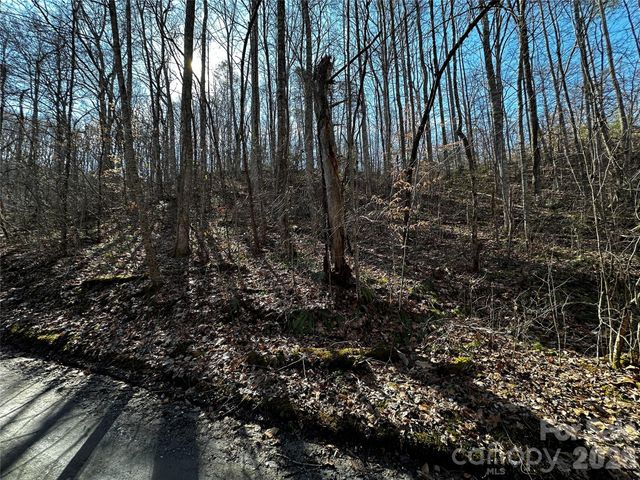 Lot 11 Blue Mist Mountain Road, Whittier, NC 28789