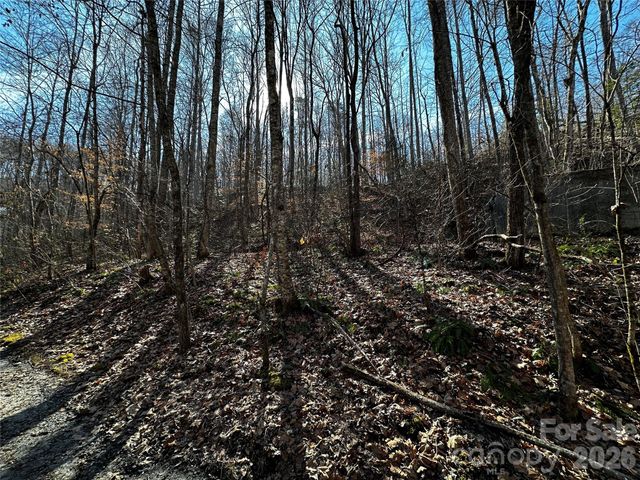 Lot 11 Blue Mist Mountain Road, Whittier, NC 28789