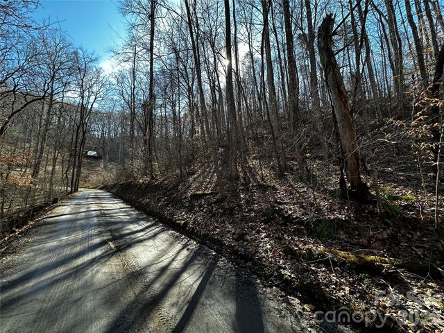Lot 11 Blue Mist Mountain Road, Whittier, NC 28789