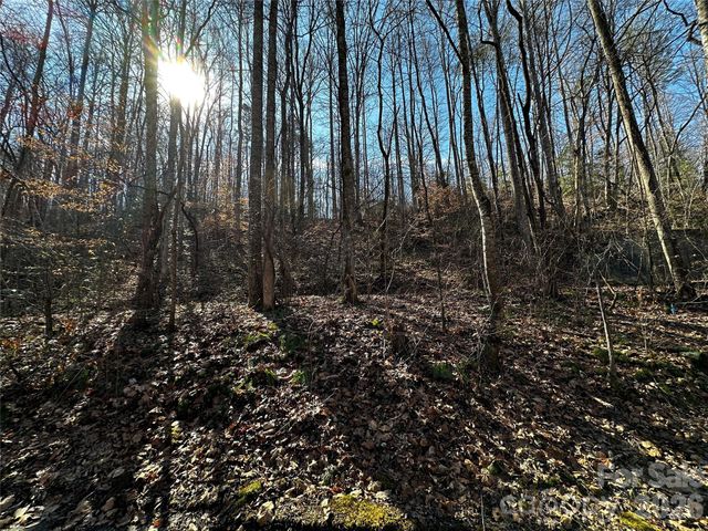 Lot 11 Blue Mist Mountain Road, Whittier, NC 28789