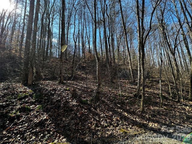 Lot 11 Blue Mist Mountain Road, Whittier, NC 28789