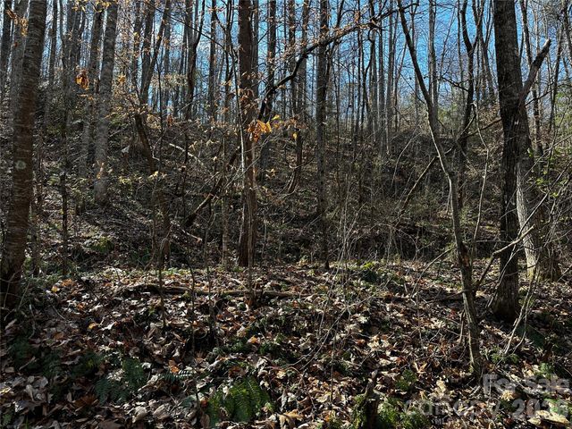Lot 11 Blue Mist Mountain Road, Whittier, NC 28789