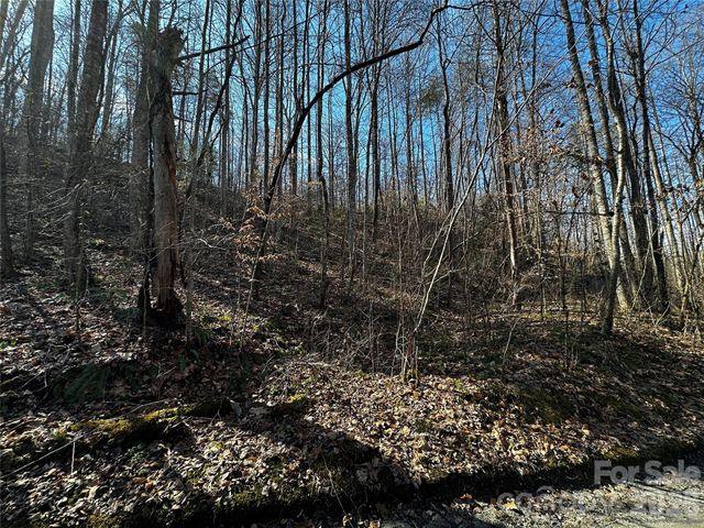 Lot 11 Blue Mist Mountain Road, Whittier, NC 28789