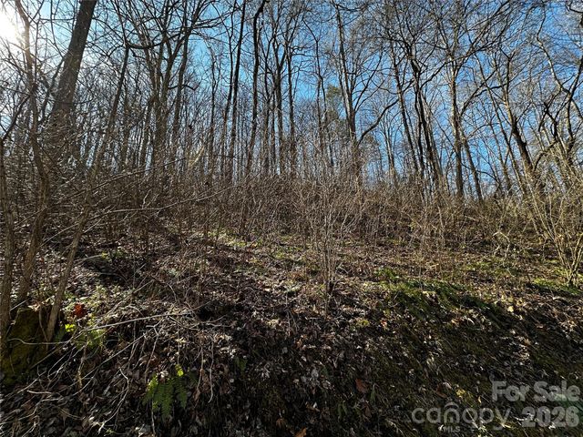 Lot 11 Blue Mist Mountain Road, Whittier, NC 28789
